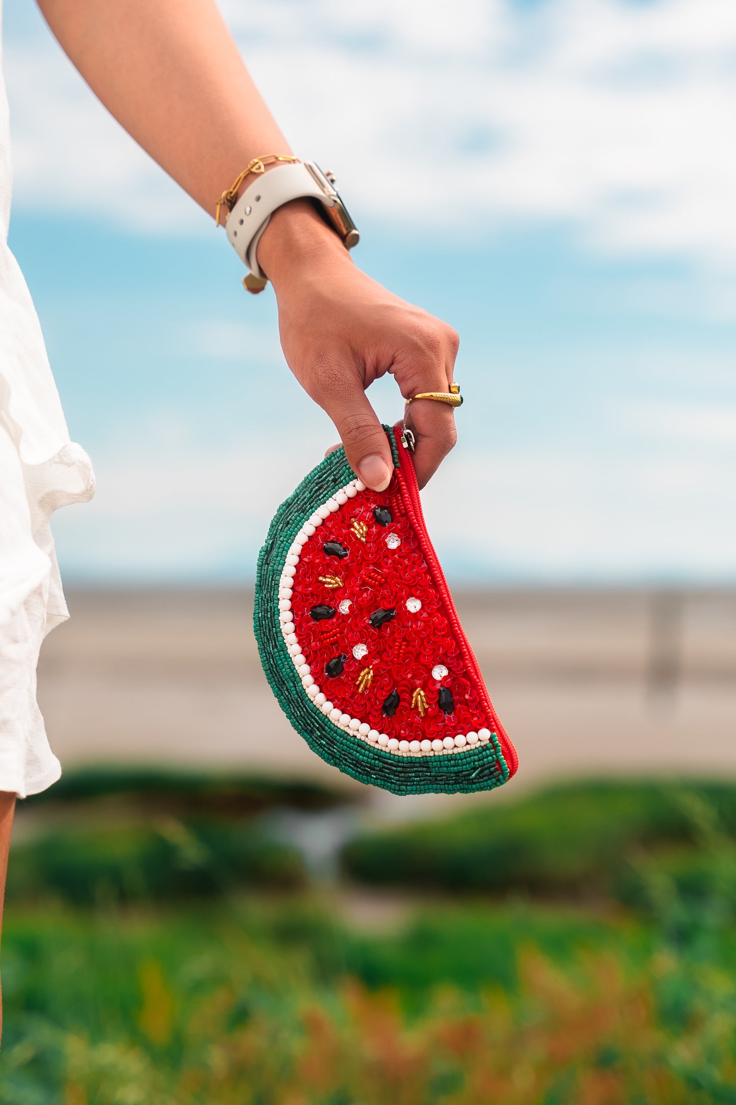 Watermelon Pouch